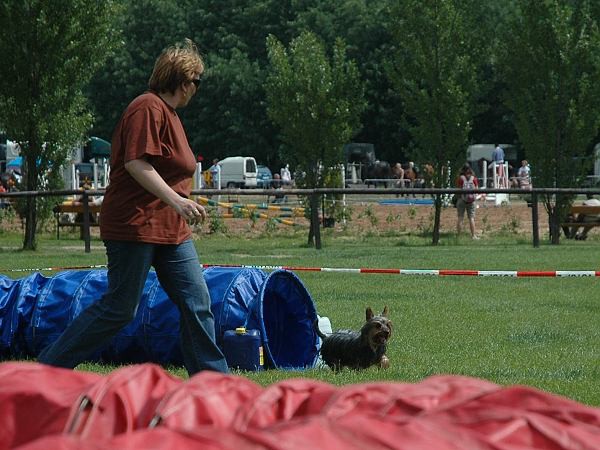 Extreme Agility víkend - sobota