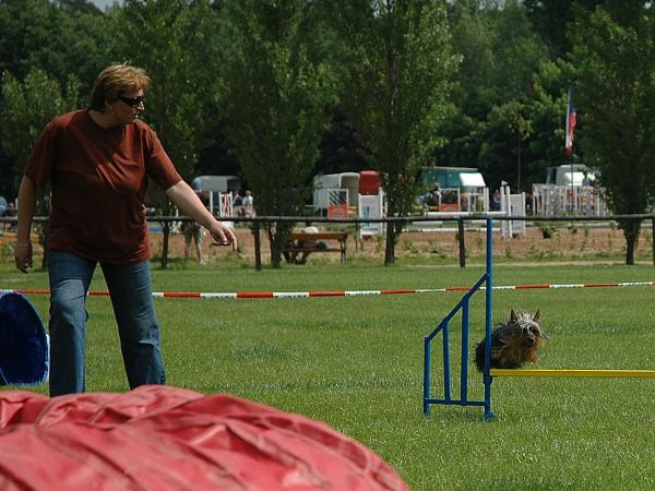 Extreme Agility víkend - sobota
