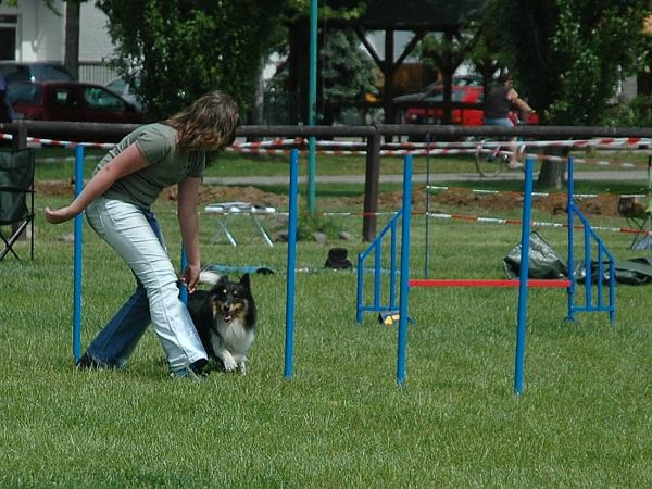 Extreme Agility víkend - sobota