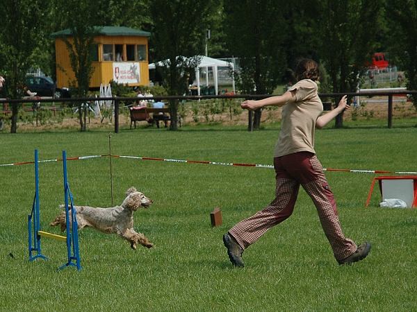 Extreme Agility víkend - sobota