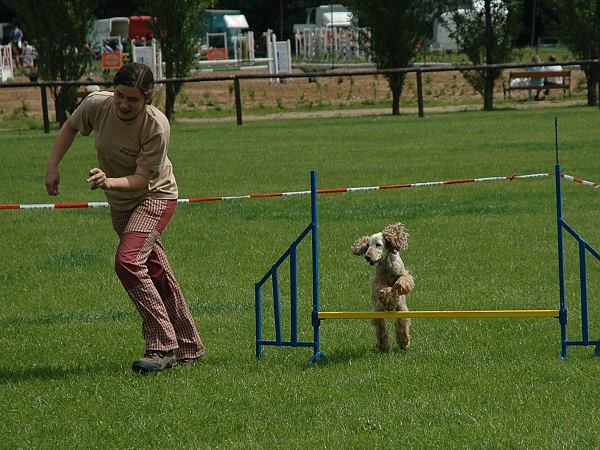 Extreme Agility víkend - sobota