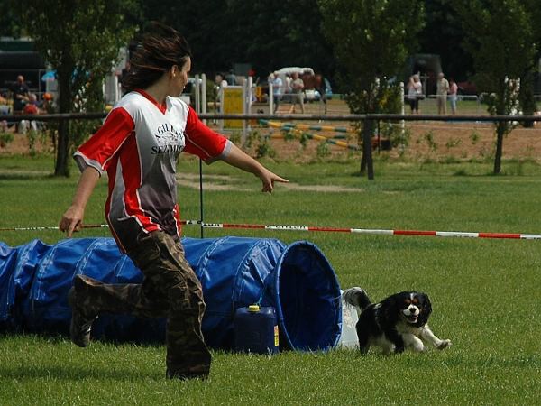 Extreme Agility víkend - sobota