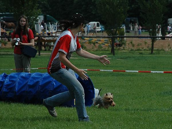 Extreme Agility víkend - sobota