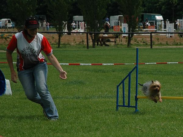 Extreme Agility víkend - sobota