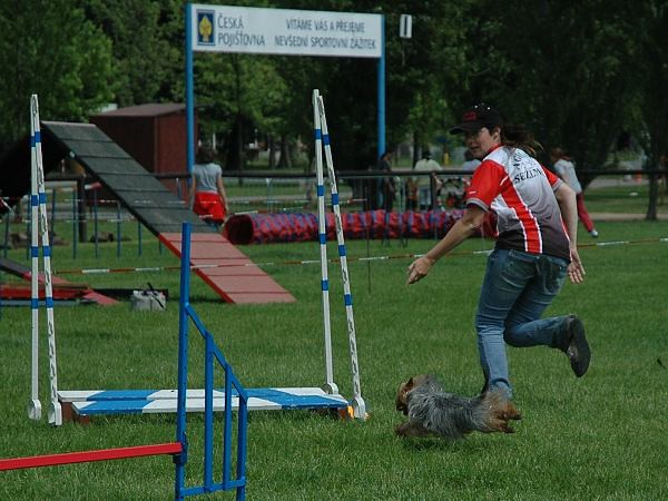 Extreme Agility víkend - sobota