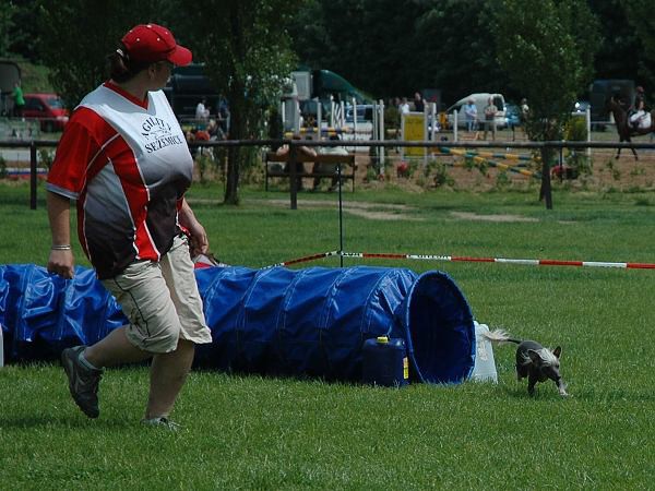 Extreme Agility víkend - sobota