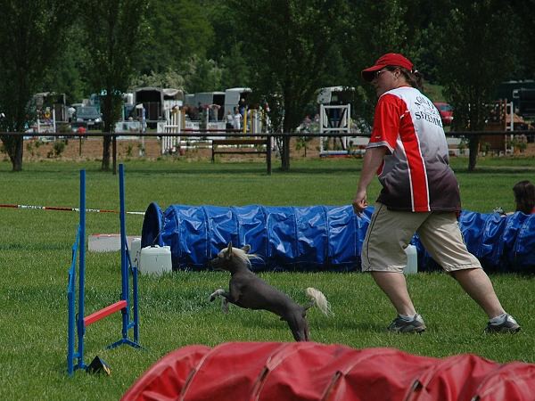 Extreme Agility víkend - sobota