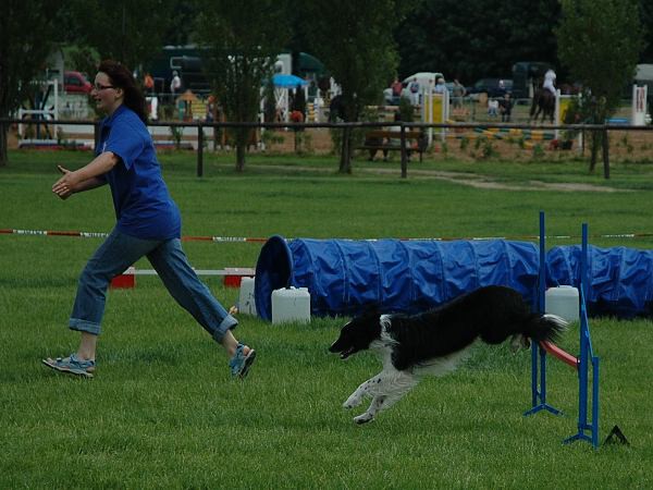 Extreme Agility víkend - sobota