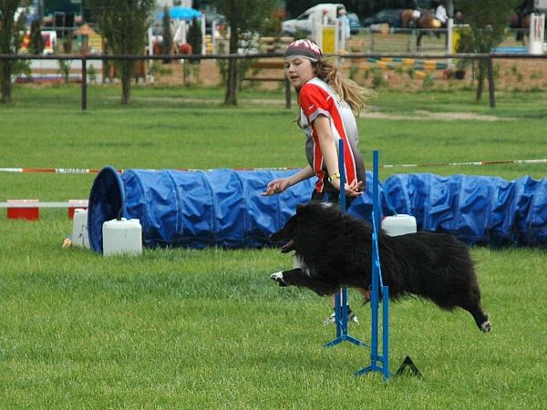 Extreme Agility víkend - sobota