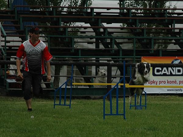 Extreme Agility víkend - sobota