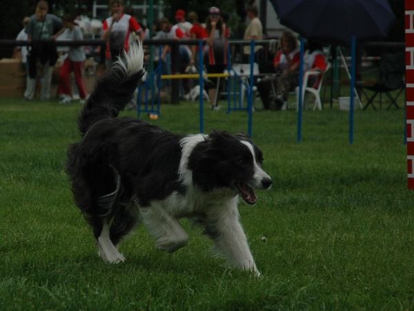 Extreme Agility víkend - sobota