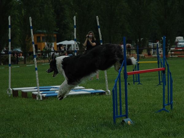 Extreme Agility víkend - sobota