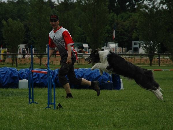 Extreme Agility víkend - sobota