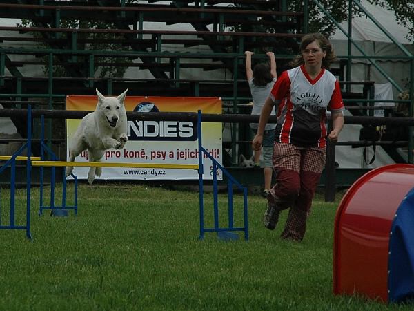 Extreme Agility víkend - sobota