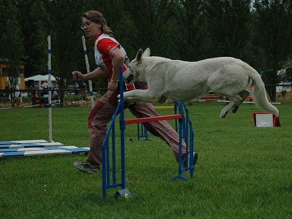 Extreme Agility víkend - sobota