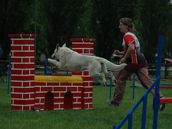 Extreme Agility víkend - sobota