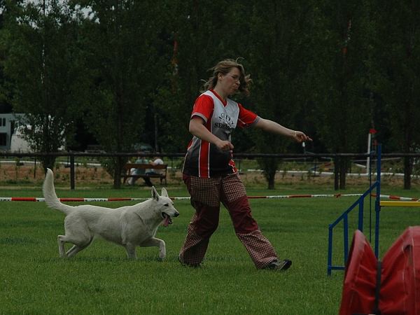 Extreme Agility víkend - sobota