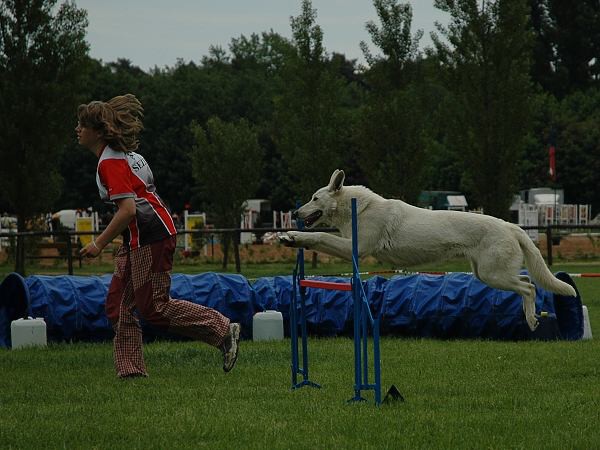 Extreme Agility víkend - sobota