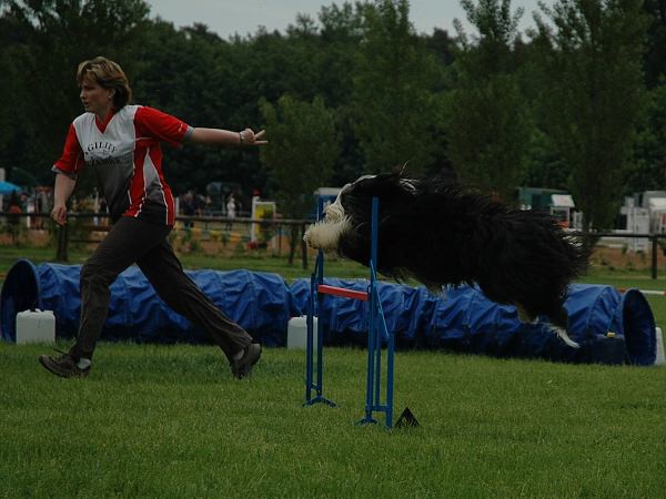 Extreme Agility víkend - sobota