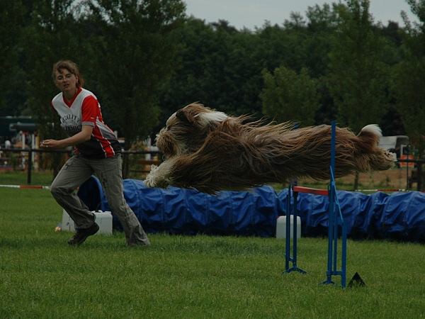 Extreme Agility víkend - sobota